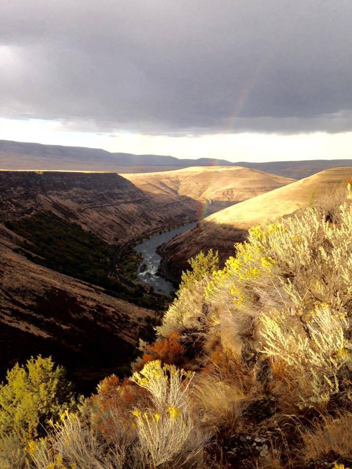 Deschutes River Rainbow with River Trails Rafting